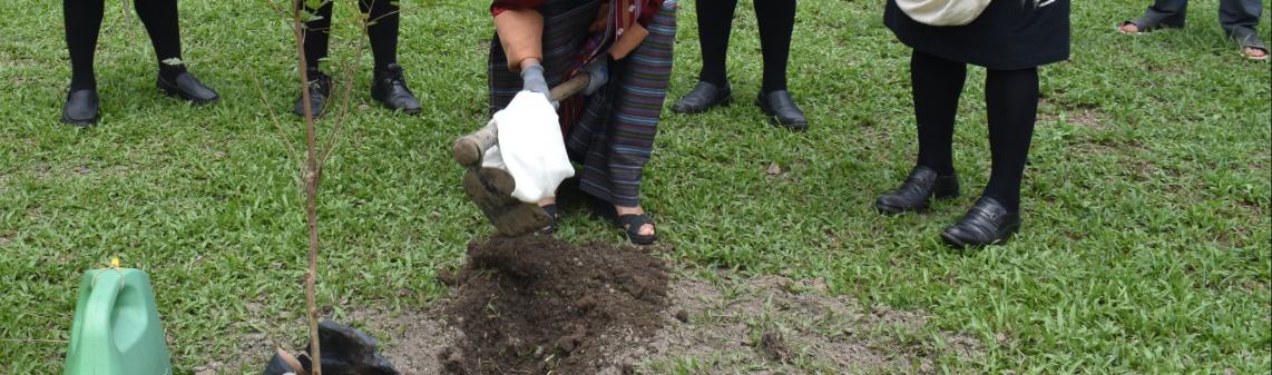 Social Forestry Day