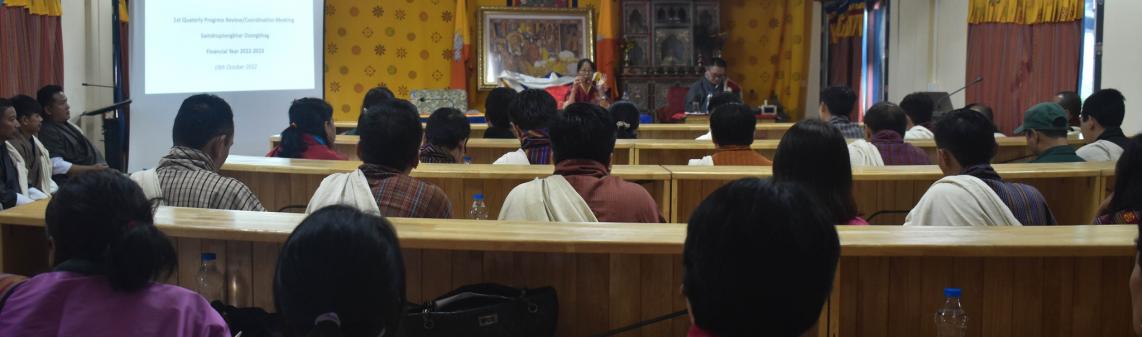 staffs coordination meeting