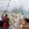 Farmer exchange program
