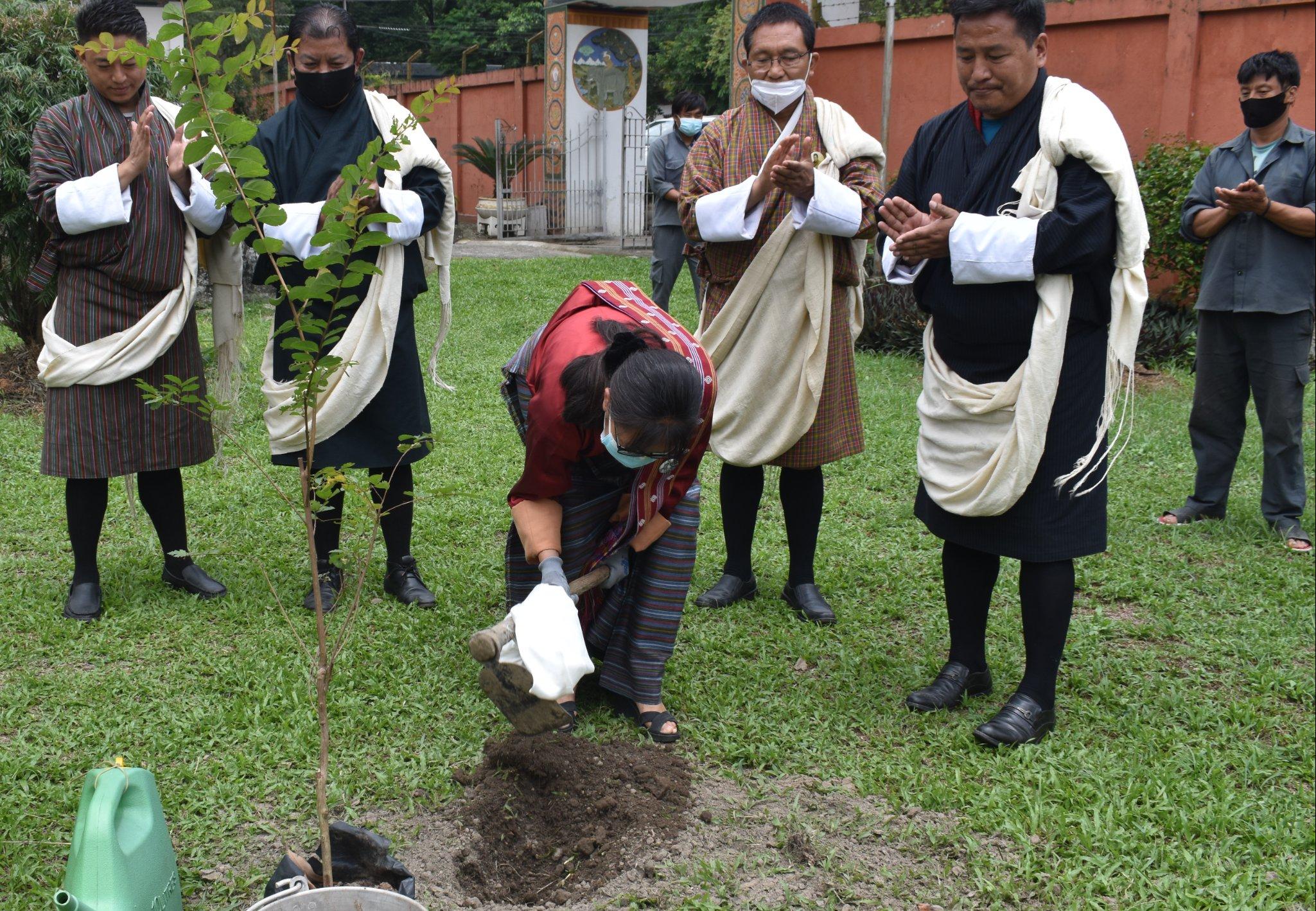 Social Forestry Day